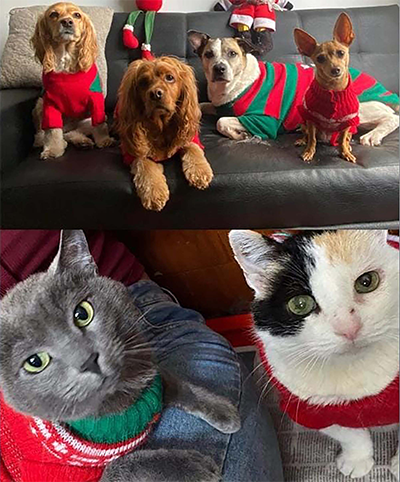 My pets